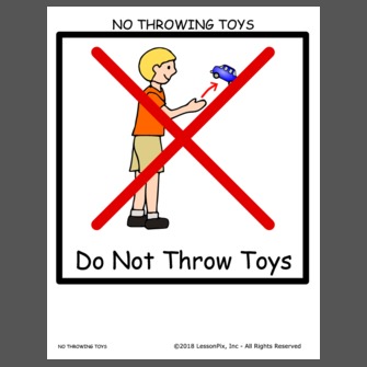 NO THROWING TOYS